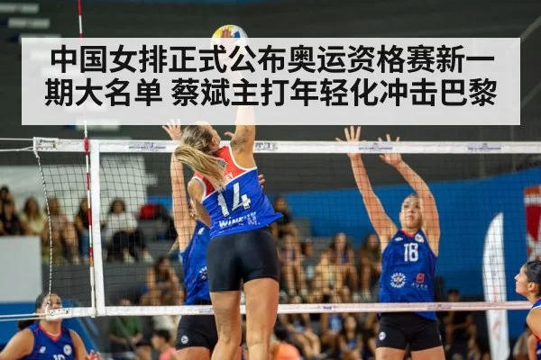 volleyball match action