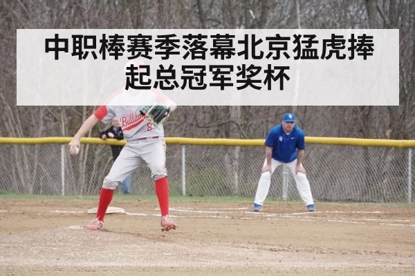 baseball game action